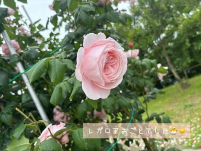 img_0379